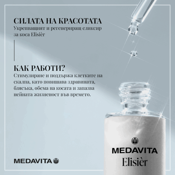 Elisier 1 (3)